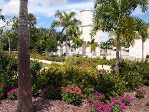 butterfly garden